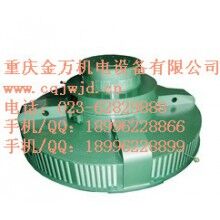 T、TL系列電機(jī)